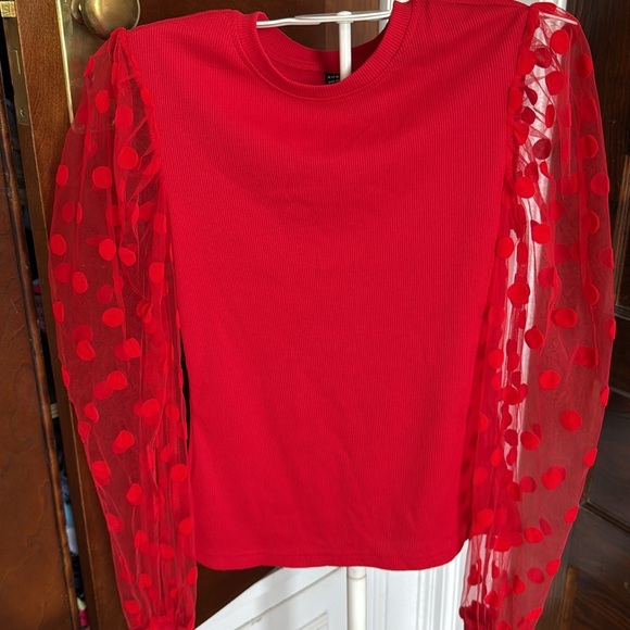SHEIN Privé Contrast Dobby Mesh Gigot Sleeve‎ Top- worn a few times - Picture 5 of 8